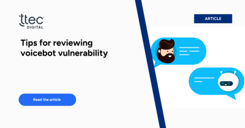 Tips for reviewing voicebot vulnerability