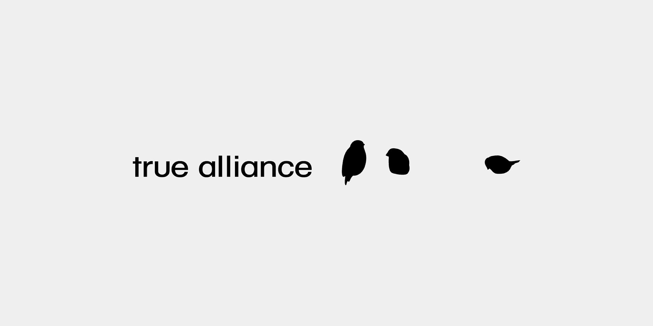 True alliance 02