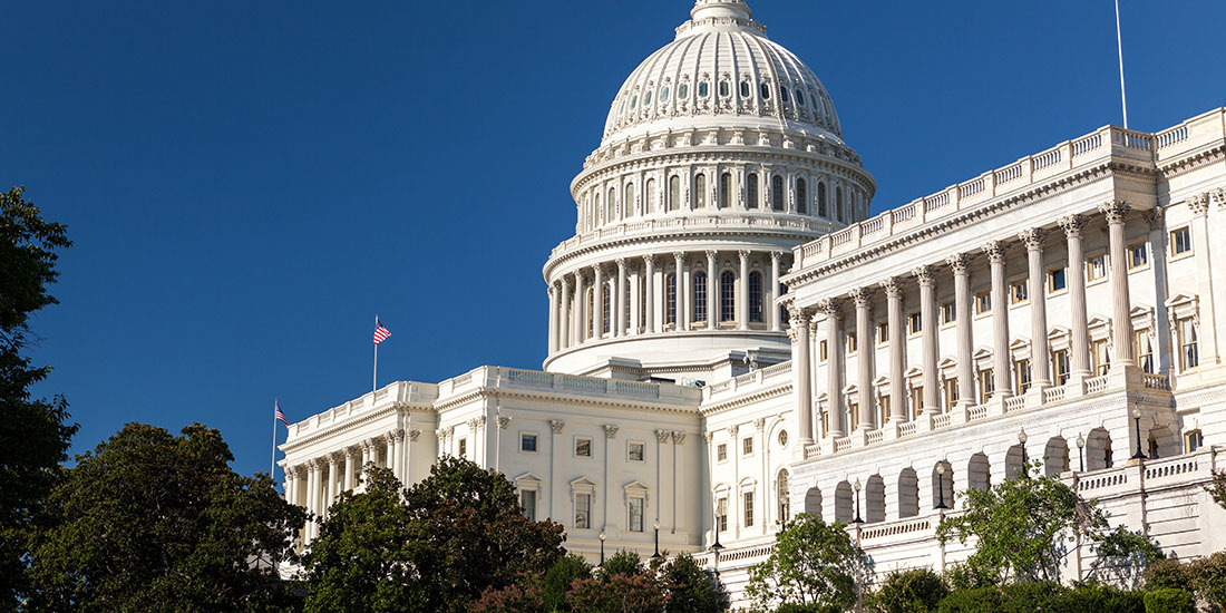 U.S. Capitol Washington D.C. Public Sector