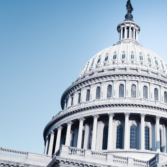 Washington DC Capitol Federal Government USA Flag 1100x550